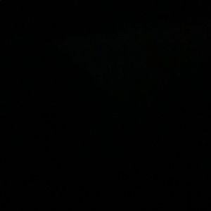 Meet your Posher, Paige